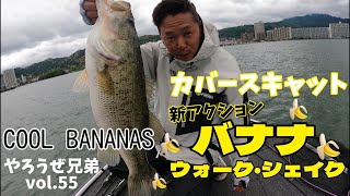 【琵琶湖バス釣り】カバースキャットの新アクション