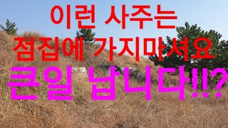 점집에 가시면 큰일나는 사주(귀문관살♡백호대살)이있습니다ㆍ전포항대학사주명리학과교수ㆍsbs백년손님운세출연313회mbc국운출연ㆍ현포항에서30년철학관운영중 010 3534 6632