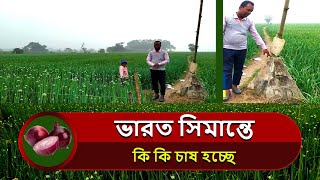 ভারত সিমান্তে কি কি চাষ হচ্ছে দেখুন । সুখ সাগর পেঁয়াজ ও ফুল চাষ। onion