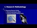 Brief Description of Cognitive Neuroscience Methods