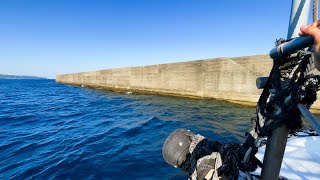 新たに開拓された秘境。連日超大型魚が掛かる異次元沖堤防で24時間釣り生活【屋久島2021秋 #1】
