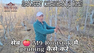 सेब 🍎 M9 Rootstok मै pruning कैसे करे By Sanjeev Chauhan ji Rms Bakhol