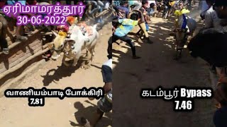 Vaniyambadi pokkiri \u0026 Kadambur bypass | Erimamarathur street 2022 | Padavedu Jallikattu