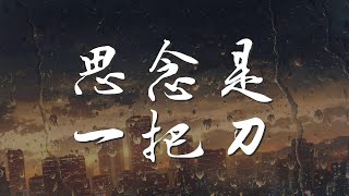 思念是一把刀 - 夏洛菲『一個人 我已經學會』【動態歌詞Lyrics】