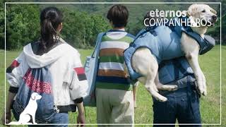 Eternos Companheiros (Teaser #3) // No Streaming