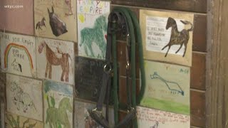 Exploring how Fieldstone Farm uses horses for human therapy