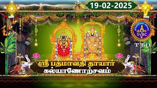 Sri Padmavathi Ammavari || Kalyanotsavam || Tiruchanoor || SVBC2 Tamil || 19-02-2025 || SVBC TTD