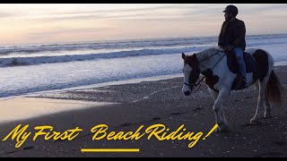 समुद्र तट पर घुड़सवारी |Horseback Riding on the Beach |