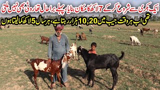 Mix Goat Farming Tips 2020 | Teddy Goats Farming And Dogli Goats Farming | 5 Lac Profit Yearly