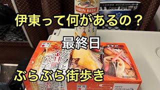 [JRパス最終日] 踊り子号で伊東へ、#特急踊り子号#ジャパンレールパス#日本旅行