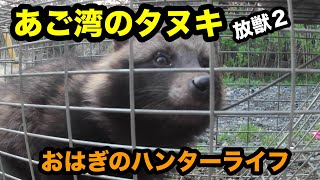 【狩猟2 65】タヌキの放獣２