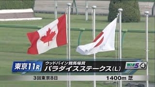 パラダイスステークス(L)［2023.6.25 東京第11R/1400m 芝］