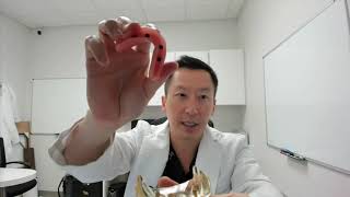 How does a snap on denture work?