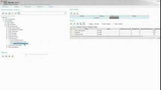 Master Data Services