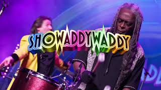 Showaddywaddy trailer 2023