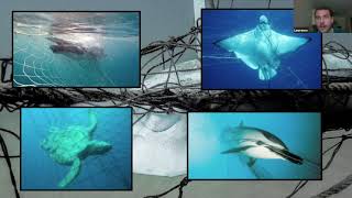 The Future of Shark Nets w/ HSI AUS Lawrence Chlebeck
