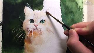 Watercolor animal painting of cat (speed & 5x painting)- 고양이 수채화 채색