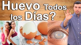 ¿ES MALO COMER HUEVO TODOS LOS DIAS? - Beneficios y Contraindicaciones del Huevo