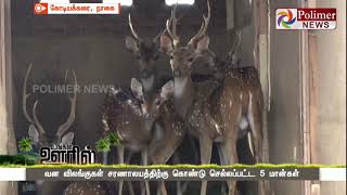 வன விலங்குகள் சரணாலயத்திற்கு கொண்டு செல்லப்பட்ட 5 மான்கள்