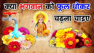 क्या भगवान को फूल पानी से धोकर चढ़ाना चाहिए | phool chadhane ka niyam