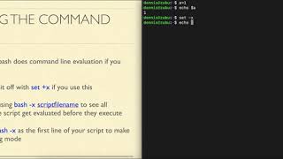 bash5.06 Bash debugging with -x