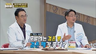 [탈모 예방 음식] 탈모에 검은콩이 좋다? 깨와 콩이면 OK 진짜 의사가 돌아왔다 15회