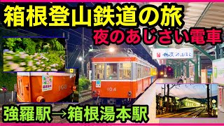 夜のあじさい電車に乗ってきた！ 強羅駅→箱根湯本駅【2022夏箱根4】