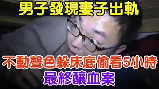 男子發現妻子出軌，不動聲色躲床底偷看5小時，最終釀血案#大案紀實 #刑事案件 #案件解說#真實案件