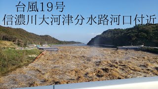 【台風19号】信濃川大河津分水路河口付近の増水