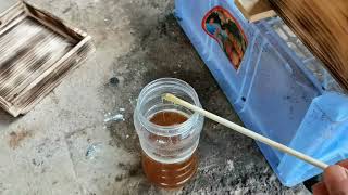 beekeeping life 剛過箱又遇上下雨天的蜜蜂就得喂一下 中蜂養殖  蜜蜂小蛋群