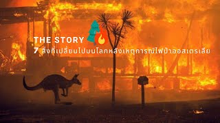 The Story 7 สิ่งที่เปลี่ยนไปหลังเหตุการณ์ไฟป่าออสเตรเลีย