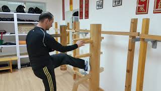 EXERCISES ON WOODEN DUMMY