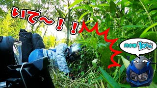 【バイク女子】初キャンツー！キャンプ場到着秒でコケる