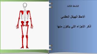 السنة خامسة : الهيكل العظمي للانسان / أنواع العظام