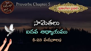 సామెతలు ఐదవ అధ్యాయము - Sametalu Aidava Adhyayamu - Proverbs Chapter 5 - Bible Readings