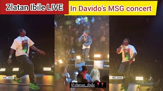 Moment Davido brought out Zlatan Ibile to Perform Killin them and IDK in his MSG