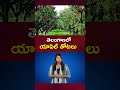 తెలంగాణలో యాపిల్ తోటలు apple cultivation in telangana ntv