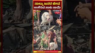 #shorts:  House Fire Accident | ಗಂಗಾವತಿ ನಗರದಲ್ಲಿ ಅಗ್ನಿ ಅವಘಡ, ನಾಲ್ಕು ಜನರ ಜೀವ ಉಳಿಸಿದ ಸಾಕು ನಾಯಿ | N18S