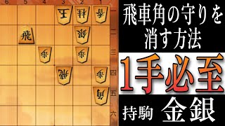 【将棋】必至をかけてください「飛車角の守りを止めよ（１手）」【将棋終盤の基本】