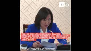 М.Оюунчимэг: Төрөөс баримтлах мөнгөний бодлого хэлэлцэж байхад Монголбанкны удирдлагууд хаана байна⁉