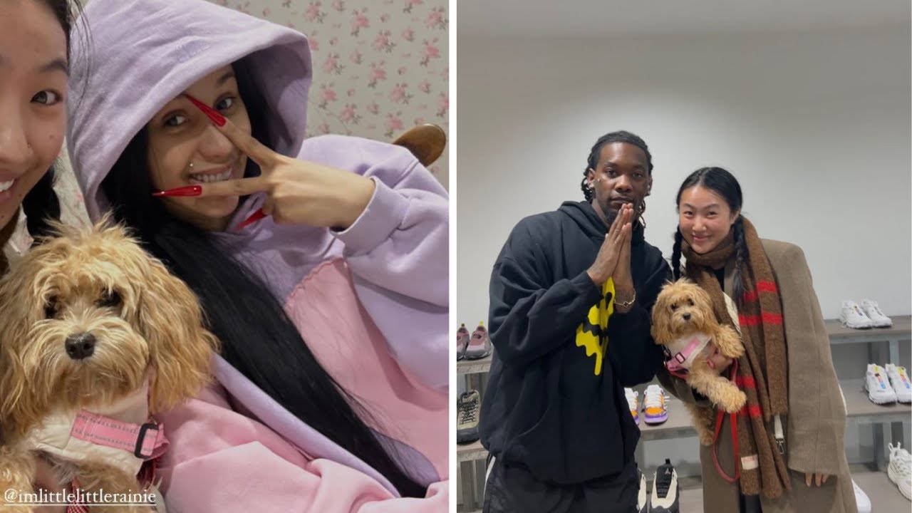 Cardi B Denies Taking Offset Back After Fan Photo Sparks Reconciliation ...