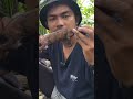 Masak t!kuz hutan