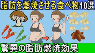 【ダイエット 食事】脂肪を燃焼させる食べ物10選！食べて脂肪を燃焼するダイエットに最適な食品とは？【健康雑学】