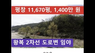 평창 11,670평, 1,400만 원 (왕복 2차선 도로변 임야)