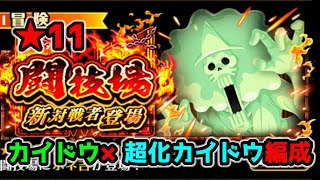 【トレクル】 闘技場vsホネ吉★11 /技カイドウ×超化カイドウ編成【OPTC】【ONEPIECE TREASURECRUISE】