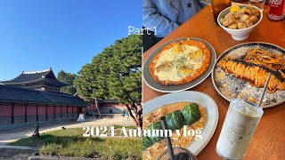 Vlog 가을 일상 브이로그 (feat. 오랜만에 만난 폴란드 친구들)