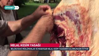 Belçika'da Helal Kesim Yasağı