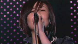 ひらり / Sotte Bosse　　Live