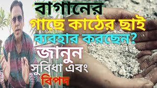 গাছে কাঠের ছাই ব্যবহারের উপকারিতা ও বিপদ।Benefits and dangers of using wood