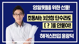 [편입영어] 조동사는 3인칭 단수여도 이것을 안 붙인다?! - 편입/대학편입/편입학원/편입인강